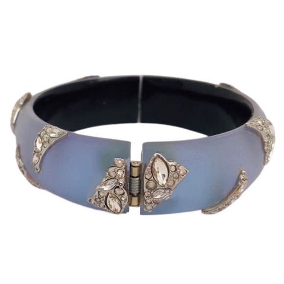ALEXIS BITTAR • Lucite Crystal Encrusted Bangle Bracelet - Picture 7 of 7